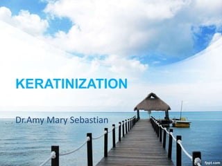 KERATINIZATION
Dr.Amy Mary Sebastian
 