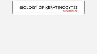Biology of keratinocytes - Keratin filaments ,Intermediate filaments | PPTX