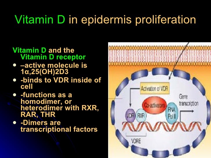 Keratinocytes And Keratinization Gammmeeel