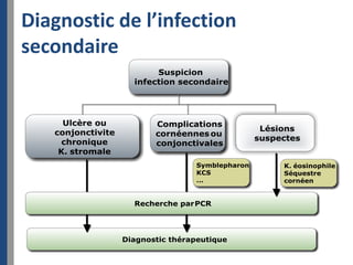 Diagnostic de l’infection
secondaire
 