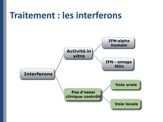 Traitement : les interferons
 
