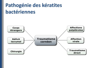 Pathogénie des kératites
bactériennes
 