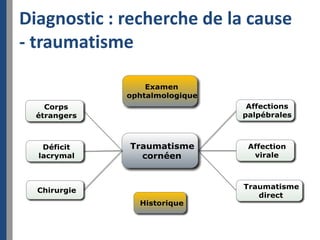 Diagnostic : recherche de la cause
- traumatisme
 