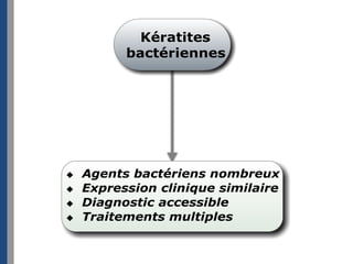 Keratites des carnivores