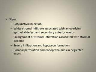 Keratitis | PPTX