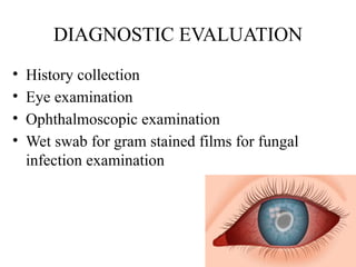 DIAGNOSTIC EVALUATION
• History collection
• Eye examination
• Ophthalmoscopic examination
• Wet swab for gram stained films for fungal
infection examination
 