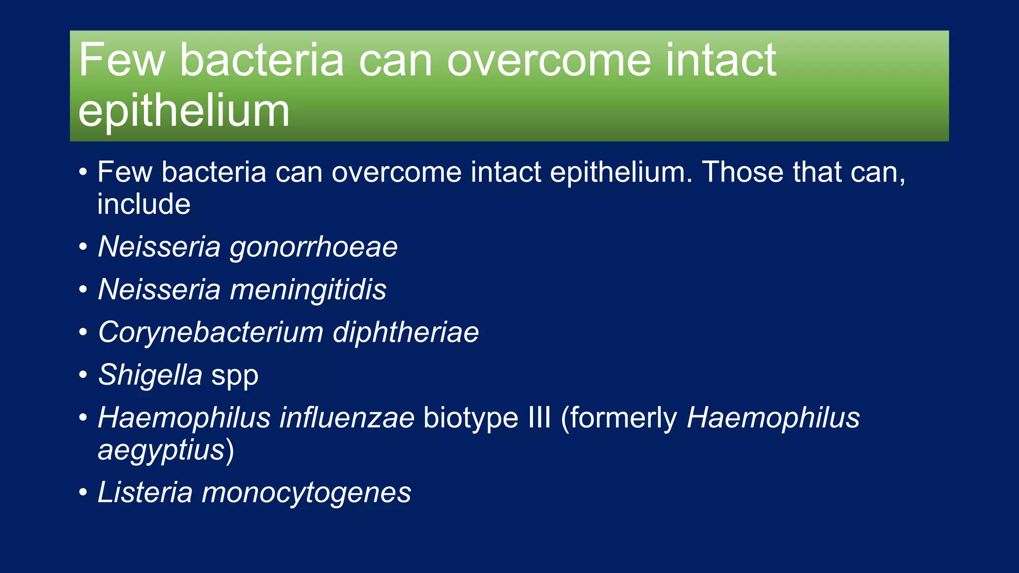 Few bacteria can overcome intact
epithelium
• Few bacteria can overcome intact epithelium. Those that can,
include
• Neisseria gonorrhoeae
• Neisseria meningitidis
• Corynebacterium diphtheriae
• Shigella spp
• Haemophilus influenzae biotype III (formerly Haemophilus
aegyptius)
• Listeria monocytogenes
 