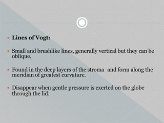  Lines of Vogt:
 Small and brushlike lines, generally vertical but they can be
oblique.
 Found in the deep layers of the stroma and form along the
meridian of greatest curvature.
 Disappear when gentle pressure is exerted on the globe
through the lid.
 