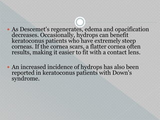  As Descemet's regenerates, edema and opacification
decreases. Occasionally, hydrops can benefit
keratoconus patients who have extremely steep
corneas. If the cornea scars, a flatter cornea often
results, making it easier to fit with a contact lens.
 An increased incidence of hydrops has also been
reported in keratoconus patients with Down's
syndrome.
 