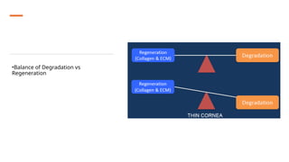 •Balance of Degradation vs
Regeneration
 