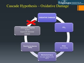Cascade Hypothesis – Oxidative Damage
OXIDATIVE DAMAGE
UVB
Atopy
Eye rubbing
Mechanical injury
CL wear (before or for
KC?)
Reactive O2 Species
(ROS)
¯ Antioxidant enzymes
ALDH3
Superoxide dismutase
Catalase
 