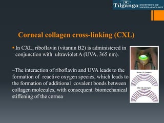 Corneal collagen cross-linking (CXL)
In CXL, riboflavin (vitamin B2) is administered in
conjunction with ultraviolet A (UVA, 365 nm).
–The interaction of riboflavin and UVA leads to the
formation of reactive oxygen species, which leads to
the formation of additional covalent bonds between
collagen molecules, with consequent biomechanical
stiffening of the cornea
 