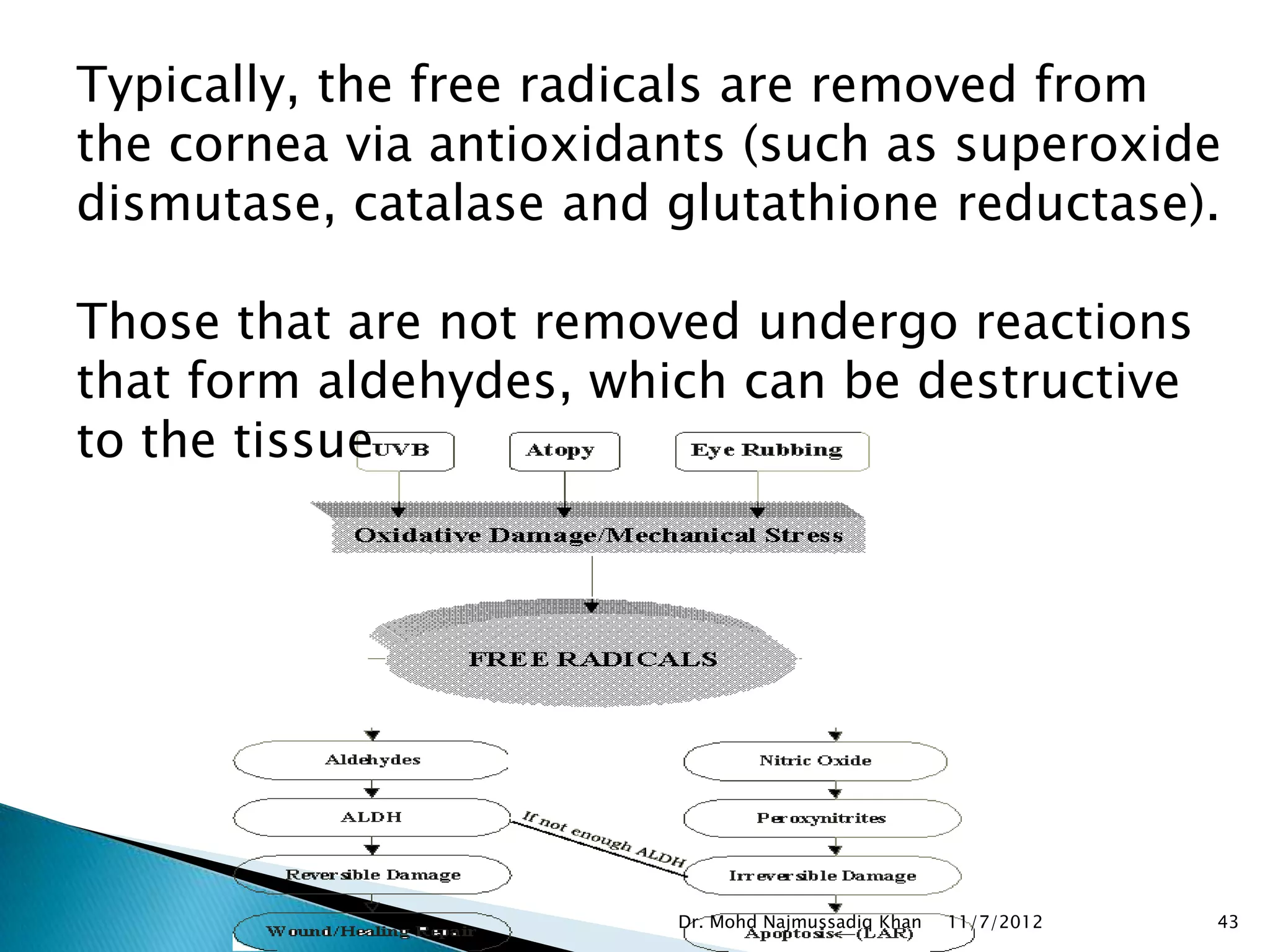 Typically, the free radicals are removed from
the cornea via antioxidants (such as superoxide
dismutase, catalase and glutathione reductase).

Those that are not removed undergo reactions
that form aldehydes, which can be destructive
to the tissue




                        Dr. Mohd Najmussadiq Khan   11/7/2012   43
 