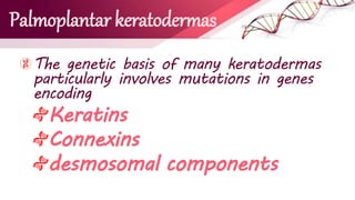 Palmoplantar keratodermas
The genetic basis of many keratodermas
particularly involves mutations in genes
encoding
Keratins
Connexins
desmosomal components
 