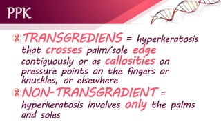 PPK
TRANSGREDIENS = hyperkeratosis
that crosses palm/sole edge
contiguously or as callosities on
pressure points on the fingers or
knuckles, or elsewhere
NON-TRANSGRADIENT =
hyperkeratosis involves only the palms
and soles
 