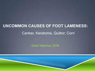 UNCOMMON CAUSES OF FOOT LAMENESS:
       Canker, Keratoma, Quittor, Corn


            Dane Tatarniuk, DVM
 