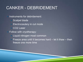 CANKER - DEBRIDEMENT
 Instruments for debridement:
    Scalpel blade
    Electrocautery in cut mode
    CO2 Laser
 Follow with cryotherapy:
    Liquid nitrogen most common
    Freeze area until it becomes hard – let it thaw – then
     freeze one more time
 