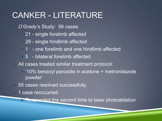CANKER - LITERATURE
 O’Grady’s Study: 56 cases
    21 - single forelimb affected
    29 - single hindlimb affected
    1 - one forelimb and one hindlimb affected
    5 - bilateral forelimb affected
 All cases treated similar treatment protocol:
    „10% benzoyl peroxide in acetone + metronidazole
     powder‟
 55 cases resolved successfully
 1 case reoccurred
    Responded the second time to laser photoablation
 