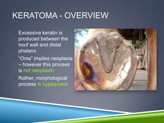 KERATOMA - OVERVIEW
 Excessive keratin is
  produced between the
  hoof wall and distal
  phalanx
 “Oma” implies neoplasia
  – however this process
  is not neoplastic
 Rather, morphological
  process is hyperplasia
 