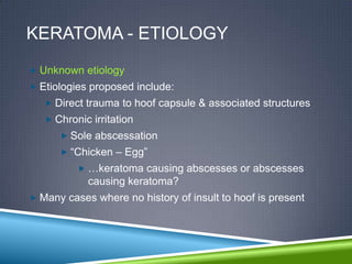 KERATOMA - ETIOLOGY
 Unknown etiology
 Etiologies proposed include:
    Direct trauma to hoof capsule & associated structures
    Chronic irritation
       Sole abscessation
       “Chicken – Egg”
           …keratoma causing abscesses or abscesses
            causing keratoma?
 Many cases where no history of insult to hoof is present
 