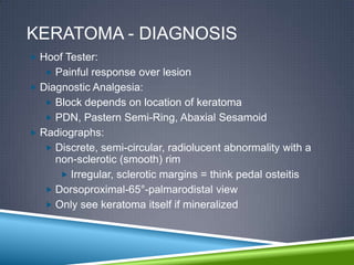 KERATOMA - DIAGNOSIS
 Hoof Tester:
    Painful response over lesion
 Diagnostic Analgesia:
    Block depends on location of keratoma
    PDN, Pastern Semi-Ring, Abaxial Sesamoid
 Radiographs:
    Discrete, semi-circular, radiolucent abnormality with a
     non-sclerotic (smooth) rim
       Irregular, sclerotic margins = think pedal osteitis
    Dorsoproximal-65°-palmarodistal view
    Only see keratoma itself if mineralized
 