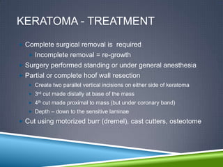 KERATOMA - TREATMENT
 Complete surgical removal is required
    Incomplete removal = re-growth
 Surgery performed standing or under general anesthesia
 Partial or complete hoof wall resection
    Create two parallel vertical incisions on either side of keratoma
    3rd cut made distally at base of the mass
    4th cut made proximal to mass (but under coronary band)
    Depth – down to the sensitive laminae

 Cut using motorized burr (dremel), cast cutters, osteotome
 