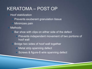 KERATOMA – POST OP
 Hoof stabilization
    Prevents exuberant granulation tissue
    Minimizes pain
 Methods:
    Bar shoe with clips on either side of the defect
       Prevents independent movement of two portions of
        hoof wall
    Bridge two sides of hoof wall together
       Metal strip spanning defect
       Screws & figure-8 wire spanning defect
 