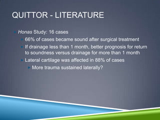 QUITTOR - LITERATURE
 Honas Study: 16 cases
   66% of cases became sound after surgical treatment
   If drainage less than 1 month, better prognosis for return
    to soundness versus drainage for more than 1 month
   Lateral cartilage was affected in 88% of cases
      More trauma sustained laterally?
 