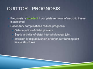 QUITTOR - PROGNOSIS
 Prognosis is excellent if complete removal of necrotic tissue
  is achieved
 Secondary complications reduce prognosis:
    Osteomyelitis of distal phalanx
    Septic arthritis of distal inter-phalangeal joint
    Infection of digital cushion or other surrounding soft
     tissue structures
 