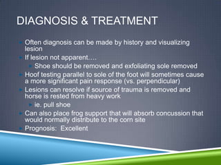 DIAGNOSIS & TREATMENT
 Often diagnosis can be made by history and visualizing
  lesion
 If lesion not apparent….
     Shoe should be removed and exfoliating sole removed
 Hoof testing parallel to sole of the foot will sometimes cause
  a more significant pain response (vs. perpendicular)
 Lesions can resolve if source of trauma is removed and
  horse is rested from heavy work
     ie. pull shoe
 Can also place frog support that will absorb concussion that
  would normally distribute to the corn site
 Prognosis: Excellent
 