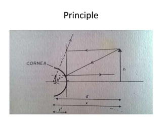 Principle
 