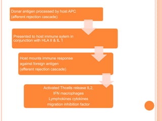 Donar antigen processed by host APC
(afferent rejection cascade)
Presented to host immune sytem in
conjunction with HLA II & IL 1
Host mounts immune response
against foreign antigen
(efferent rejection cascade)
Activated Thcells release IL2,
IFN macrophages
Lymphokines cytokines
migration inhibition factor
 