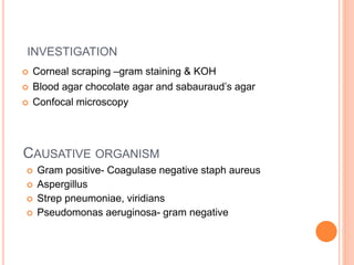  Corneal scraping –gram staining & KOH
 Blood agar chocolate agar and sabauraud’s agar
 Confocal microscopy
CAUSATIVE ORGANISM
INVESTIGATION
 Gram positive- Coagulase negative staph aureus
 Aspergillus
 Strep pneumoniae, viridians
 Pseudomonas aeruginosa- gram negative
 