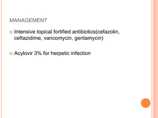 MANAGEMENT
 Intensive topical fortified antibiotics(cefazolin,
ceftazidime, vancomycin, gentamycin)
 Acylovir 3% for herpetic infection
 