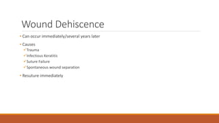 Wound Dehiscence
• Can occur immediately/several years later
• Causes
Trauma
Infectious Keratitis
Suture Failure
Spontaneous wound separation
• Resuture immediately
 