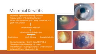 Microbial Keratitis
• Incidence higher in developing countries
• ½ occur within 1st 6 months of surgery
• Either infection within graft/ along suture tracts at
graft host junction
Inflammatory Reaction
Initiation of Graft Rejection
Graft Failure Graft Melting Endophthalmitis
• Corneal scrapings – Gram’s stain/KOH/C & S
• Therapy modified based on lab report
• Initial therapy – Fluoroquinolone or combination of
Cefazolin 5% and Tobramycin 1.3%
 