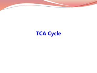 TCA Cycle
 
