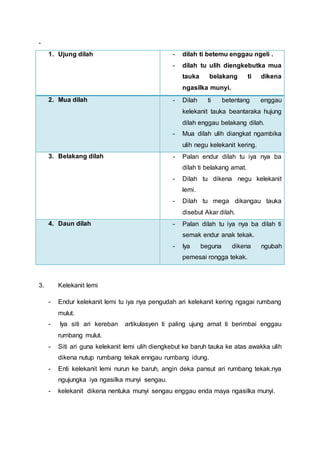 -
1. Ujung dilah - dilah ti betemu enggau ngeli .
- dilah tu ulih diengkebutka mua
tauka belakang ti dikena
ngasilka munyi.
2. Mua dilah - Dilah ti betentang enggau
kelekanit tauka beantaraka hujung
dilah enggau belakang dilah.
- Mua dilah ulih diangkat ngambika
ulih negu kelekanit kering.
3. Belakang dilah - Palan endur dilah tu iya nya ba
dilah ti belakang amat.
- Dilah tu dikena negu kelekanit
lemi.
- Dilah tu mega dikangau tauka
disebut Akar dilah.
4. Daun dilah - Palan dilah tu iya nya ba dilah ti
semak endur anak tekak.
- Iya beguna dikena ngubah
pemesai rongga tekak.
3. Kelekanit lemi
- Endur kelekanit lemi tu iya nya pengudah ari kelekanit kering ngagai rumbang
mulut.
- Iya siti ari kereban artikulasyen ti paling ujung amat ti berimbai enggau
rumbang mulut.
- Siti ari guna kelekanit lemi ulih diengkebut ke baruh tauka ke atas awakka ulih
dikena nutup rumbang tekak enngau rumbang idung.
- Enti kelekanit lemi nurun ke baruh, angin deka pansut ari rumbang tekak.nya
ngujungka iya ngasilka munyi sengau.
- kelekanit dikena nentuka munyi sengau enggau enda maya ngasilka munyi.
 