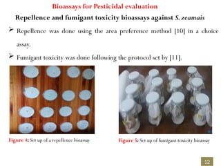 Kerebba SACI Conference presentation.pptx