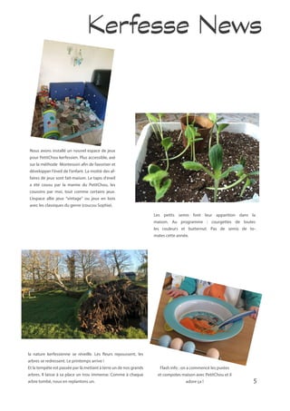 5
Nous avons installé un nouvel espace de jeux
pour PetitChou kerfessien. Plus accessible, axé
sur la méthode Montessori afin de favoriser et
développer l’éveil de l’enfant. La moitié des af-
faires de jeux sont fait-maison. Le tapis d’eveil
a été cousu par la mamie du PetitChou, les
coussins par moi, tout comme certains jeux.
L’espace allie jeux “vintage” ou jeux en bois
avec les classiques du genre (coucou Sophie).
la nature kerfessienne se réveille. Les fleurs repoussent, les
arbres se redressent. Le printemps arrive !
Et la tempête est passée par là mettant à terre un de nos grands
arbres. Il laisse à sa place un trou immense. Comme à chaque
arbre tombé, nous en replantons un.
Flash info : on a commencé les purées
et compotes maison avec PetitChou et il
adore ça !
Les petits semis font leur apparition dans la
maison. Au programme : courgettes de toutes
les couleurs et butternut. Pas de semis de to-
mates cette année.
Kerfesse News
 
