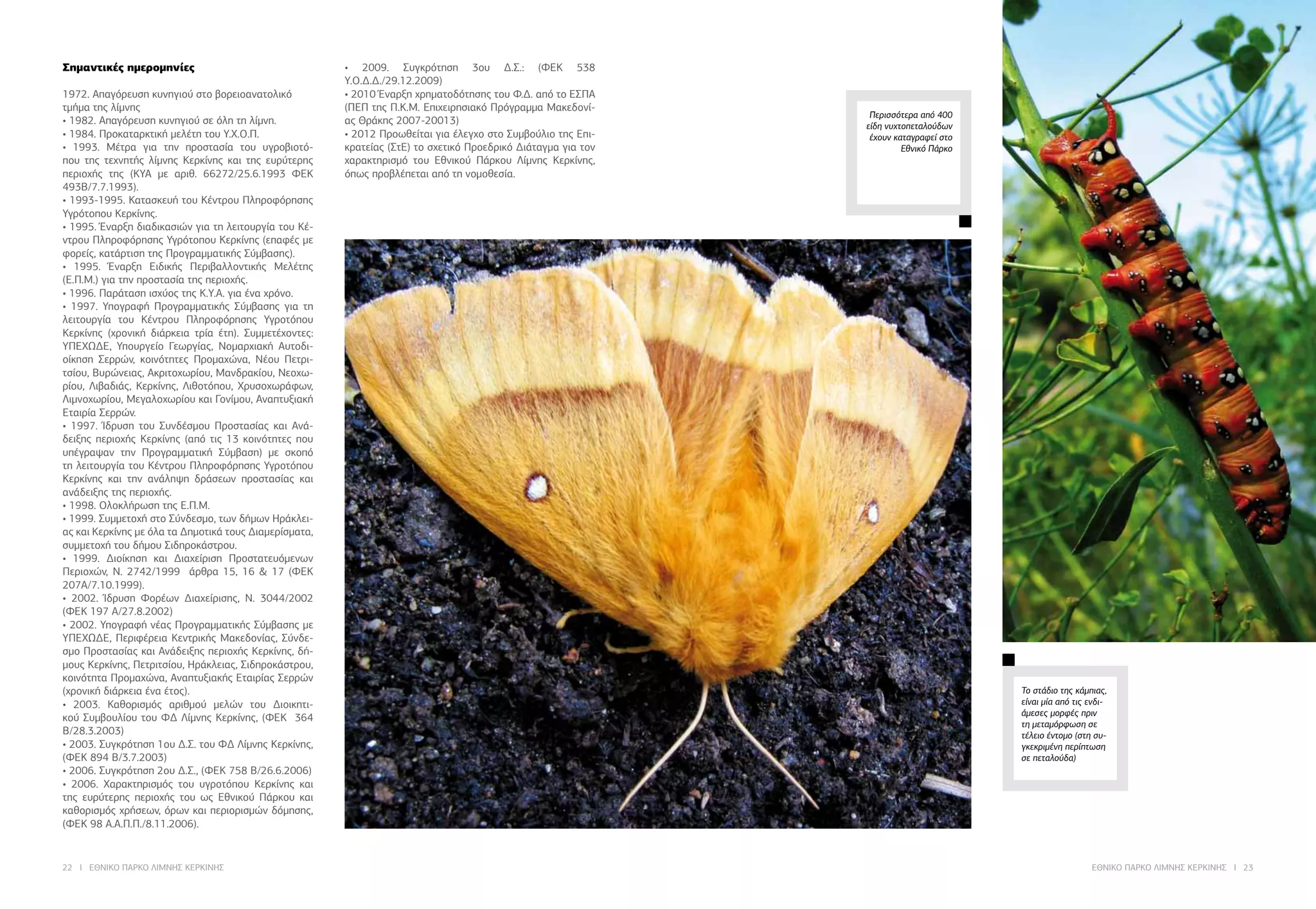 22 I ΕΘΝΙΚΟ ΠΑΡΚΟ ΛΙΜΝΗΣ ΚΕΡΚΙΝΗΣ ΕΘΝΙΚΟ ΠΑΡΚΟ ΛΙΜΝΗΣ ΚΕΡΚΙΝΗΣ I 23
Σημαντικές ημερομηνίες
1972. Απαγόρευση κυνηγιού στο βορειοανατολικό
τμήμα της λίμνης
• 1982. Απαγόρευση κυνηγιού σε όλη τη λίμνη.
• 1984. Προκαταρκτική μελέτη του Υ.Χ.Ο.Π.
• 1993. Μέτρα για την προστασία του υγροβιοτό-
που της τεχνητής λίμνης Κερκίνης και της ευρύτερης
περιοχής της (ΚΥΑ με αριθ. 66272/25.6.1993 ΦΕΚ
493Β/7.7.1993).
• 1993-1995. Κατασκευή του Κέντρου Πληροφόρησης
Υγρότοπου Κερκίνης.
• 1995. Έναρξη διαδικασιών για τη λειτουργία του Κέ-
ντρου Πληροφόρησης Υγρότοπου Κερκίνης (επαφές με
φορείς, κατάρτιση της Προγραμματικής Σύμβασης).
• 1995. Έναρξη Ειδικής Περιβαλλοντικής Μελέτης
(Ε.Π.Μ.) για την προστασία της περιοχής.
• 1996. Παράταση ισχύος της Κ.Υ.Α. για ένα χρόνο.
• 1997. Υπογραφή Προγραμματικής Σύμβασης για τη
λειτουργία του Κέντρου Πληροφόρησης Υγροτόπου
Κερκίνης (χρονική διάρκεια τρία έτη). Συμμετέχοντες:
ΥΠΕΧΩΔΕ, Υπουργείο Γεωργίας, Νομαρχιακή Αυτοδι-
οίκηση Σερρών, κοινότητες Προμαχώνα, Νέου Πετρι-
τσίου, Βυρώνειας, Ακριτοχωρίου, Μανδρακίου, Νεοχω-
ρίου, Λιβαδιάς, Κερκίνης, Λιθοτόπου, Χρυσοχωράφων,
Λιμνοχωρίου, Μεγαλοχωρίου και Γονίμου, Αναπτυξιακή
Εταιρία Σερρών.
• 1997. Ίδρυση του Συνδέσμου Προστασίας και Ανά-
δειξης περιοχής Κερκίνης (από τις 13 κοινότητες που
υπέγραψαν την Προγραμματική Σύμβαση) με σκοπό
τη λειτουργία του Κέντρου Πληροφόρησης Υγροτόπου
Κερκίνης και την ανάληψη δράσεων προστασίας και
ανάδειξης της περιοχής.
• 1998. Ολοκλήρωση της Ε.Π.Μ.
• 1999. Συμμετοχή στο Σύνδεσμο, των δήμων Ηράκλει-
ας και Κερκίνης με όλα τα Δημοτικά τους Διαμερίσματα,
συμμετοχή του δήμου Σιδηροκάστρου.
• 1999. Διοίκηση και Διαχείριση Προστατευόμενων
Περιοχών, Ν. 2742/1999 άρθρα 15, 16 & 17 (ΦΕΚ
207Α/7.10.1999).
• 2002. Ίδρυση Φορέων Διαχείρισης, Ν. 3044/2002
(ΦΕΚ 197 Α/27.8.2002)
• 2002. Υπογραφή νέας Προγραμματικής Σύμβασης με
ΥΠΕΧΩΔΕ, Περιφέρεια Κεντρικής Μακεδονίας, Σύνδε-
σμο Προστασίας και Ανάδειξης περιοχής Κερκίνης, δή-
μους Κερκίνης, Πετριτσίου, Ηράκλειας, Σιδηροκάστρου,
κοινότητα Προμαχώνα, Αναπτυξιακής Εταιρίας Σερρών
(χρονική διάρκεια ένα έτος).
• 2003. Καθορισμός αριθμού μελών του Διοικητι-
κού Συμβουλίου του ΦΔ Λίμνης Κερκίνης, (ΦΕΚ 364
Β/28.3.2003)
• 2003. Συγκρότηση 1ου Δ.Σ. του ΦΔ Λίμνης Κερκίνης,
(ΦΕΚ 894 Β/3.7.2003)
• 2006. Συγκρότηση 2ου Δ.Σ., (ΦΕΚ 758 Β/26.6.2006)
• 2006. Χαρακτηρισμός του υγροτόπου Κερκίνης και
της ευρύτερης περιοχής του ως Εθνικού Πάρκου και
καθορισμός χρήσεων, όρων και περιορισμών δόμησης,
(ΦΕΚ 98 Α.Α.Π.Π./8.11.2006).
• 2009. Συγκρότηση 3ου Δ.Σ.: (ΦΕΚ 538
Υ.Ο.Δ.Δ./29.12.2009)
• 2010 Έναρξη χρηματοδότησης του Φ.Δ. από το ΕΣΠΑ
(ΠΕΠ της Π.Κ.Μ. Επιχειρησιακό Πρόγραμμα Μακεδονί-
ας Θράκης 2007-20013)
• 2012 Προωθείται για έλεγχο στο Συμβούλιο της Επι-
κρατείας (ΣτΕ) το σχετικό Προεδρικό Διάταγμα για τον
χαρακτηρισμό του Εθνικού Πάρκου Λίμνης Κερκίνης,
όπως προβλέπεται από τη νομοθεσία.
Περισσότερα από 400
είδη νυχτοπεταλούδων
έχουν καταγραφεί στο
Εθνικό Πάρκο
Το στάδιο της κάμπιας,
είναι μία από τις ενδι-
άμεσες μορφές πριν
τη μεταμόρφωση σε
τέλειο έντομο (στη συ-
γκεκριμένη περίπτωση
σε πεταλούδα)
 