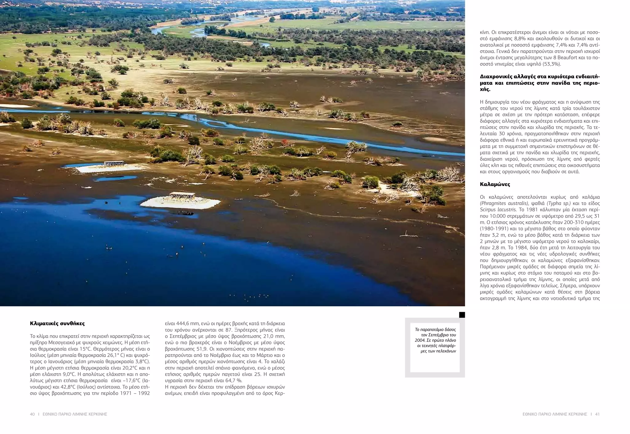 40 I ΕΘΝΙΚΟ ΠΑΡΚΟ ΛΙΜΝΗΣ ΚΕΡΚΙΝΗΣ ΕΘΝΙΚΟ ΠΑΡΚΟ ΛΙΜΝΗΣ ΚΕΡΚΙΝΗΣ I 41
Το παραποτάμιο δάσος
τον Σεπτέμβριο του
2004. Σε πρώτο πλάνο
οι τεχνητές πλατφόρ-
μες των πελεκάνων
Κλιματικές συνθήκες
Το κλίμα που επικρατεί στην περιοχή χαρακτηρίζεται ως
ημίξηρο Μεσογειακό με ψυχρούς χειμώνες. Η μέση ετή-
σια θερμοκρασία είναι 15°C. Θερμότερος μήνας είναι ο
Ιούλιος (μέση μηνιαία θερμοκρασία 26,1° C) και ψυχρό-
τερος ο Ιανουάριος (μέση μηνιαία θερμοκρασία 3,8°C).
Η μέση μέγιστη ετήσια θερμοκρασία είναι 20,2°C και η
μέση ελάχιστη 9,0°C. Η απολύτως ελάχιστη και η απο-
λύτως μέγιστη ετήσια θερμοκρασία είναι –17,6°C (Ια-
νουάριος) και 42,8°C (Ιούλιος) αντίστοιχα. Το μέσο ετή-
σιο ύψος βροχόπτωσης για την περίοδο 1971 – 1992
είναι 444,6 mm, ενώ οι ημέρες βροχής κατά τη διάρκεια
του χρόνου ανέρχονται σε 87. Ξηρότερος μήνας είναι
ο Σεπτέμβριος με μέσο ύψος βροχόπτωσης 21,0 mm,
ενώ ο πιο βροχερός είναι ο Νοέμβριος με μέσο ύψος
βροχόπτωσης 51,9. Οι χιονοπτώσεις στην περιοχή πα-
ρατηρούνται από το Νοέμβριο έως και το Μάρτιο και ο
μέσος αριθμός ημερών χιονόπτωσης είναι 4. Το χαλάζι
στην περιοχή αποτελεί σπάνιο φαινόμενο, ενώ ο μέσος
ετήσιος αριθμός ημερών παγετού είναι 25. Η σχετική
υγρασία στην περιοχή είναι 64,7 %.
Η περιοχή δεν δέχεται την επίδραση βόρειων ισχυρών
ανέμων, επειδή είναι προφυλαγμένη από το όρος Κερ-
κίνη. Οι επικρατέστεροι άνεμοι είναι οι νότιοι με ποσο-
στό εμφάνισης 8,8% και ακολουθούν οι δυτικοί και οι
ανατολικοί με ποσοστό εμφάνισης 7,4% και 7,4% αντί-
στοιχα. Γενικά δεν παρατηρούνται στην περιοχή ισχυροί
άνεμοι έντασης μεγαλύτερης των 8 Beaufort και το πο-
σοστό νηνεμίας είναι υψηλό (53,3%).
	
Διαχρονικές αλλαγές στα κυριότερα ενδιαιτή-
ματα και επιπτώσεις στην πανίδα της περιο-
χής.
Η δημιουργία του νέου φράγματος και η ανύψωση της
στάθμης του νερού της λίμνης κατά τρία τουλάχιστον
μέτρα σε σχέση με την πρότερη κατάσταση, επέφερε
διάφορες αλλαγές στα κυριότερα ενδιαιτήματα και επι-
πτώσεις στην πανίδα και χλωρίδα της περιοχής. Τα τε-
λευταία 30 χρόνια, πραγματοποιήθηκαν στην περιοχή
διάφορα εθνικά ή και ευρωπαϊκά ερευνητικά προγράμ-
ματα με τη συμμετοχή σημαντικών επιστημόνων σε θέ-
ματα σχετικά με την πανίδα και χλωρίδα της περιοχής,
διαχείριση νερού, πρόσχωση της λίμνης από φερτές
ύλες κλπ και τις πιθανές επιπτώσεις στα οικοσυστήματα
και στους οργανισμούς που διαβιούν σε αυτά.
	
Καλαμώνες
Οι καλαμώνες αποτελούνται κυρίως από καλάμια
(Phragmites australis), ψαθιά (Typha sp.) και το είδος
Scirpus lacustris. Το 1981 κάλυπταν μία έκταση περί-
που 10.000 στρεμμάτων σε υψόμετρο από 29,5 ως 31
m. Ο ετήσιος χρόνος κατάκλυσης ήταν 200-310 ημέρες
(1980-1991) και το μέγιστο βάθος στο οποίο φύονταν
ήταν 3,2 m, ενώ το μέσο βάθος κατά τη διάρκεια των
2 μηνών με το μέγιστο υψόμετρο νερού το καλοκαίρι,
ήταν 2,8 m. Το 1984, δύο έτη μετά τη λειτουργία του
νέου φράγματος και τις νέες υδρολογικές συνθήκες
που δημιουργήθηκαν, οι καλαμώνες εξαφανίσθηκαν.
Παρέμειναν μικρές ομάδες σε διάφορα σημεία της λί-
μνης και κυρίως στο στόμιο του ποταμού και στο βο-
ρειοανατολικό τμήμα της λίμνης, οι οποίες μετά από
λίγα χρόνια εξαφανίσθηκαν τελείως. Σήμερα, υπάρχουν
μικρές ομάδες καλαμώνων κατά θέσεις στη βόρεια
ακτογραμμή της λίμνης και στο νοτιοδυτικό τμήμα της
 