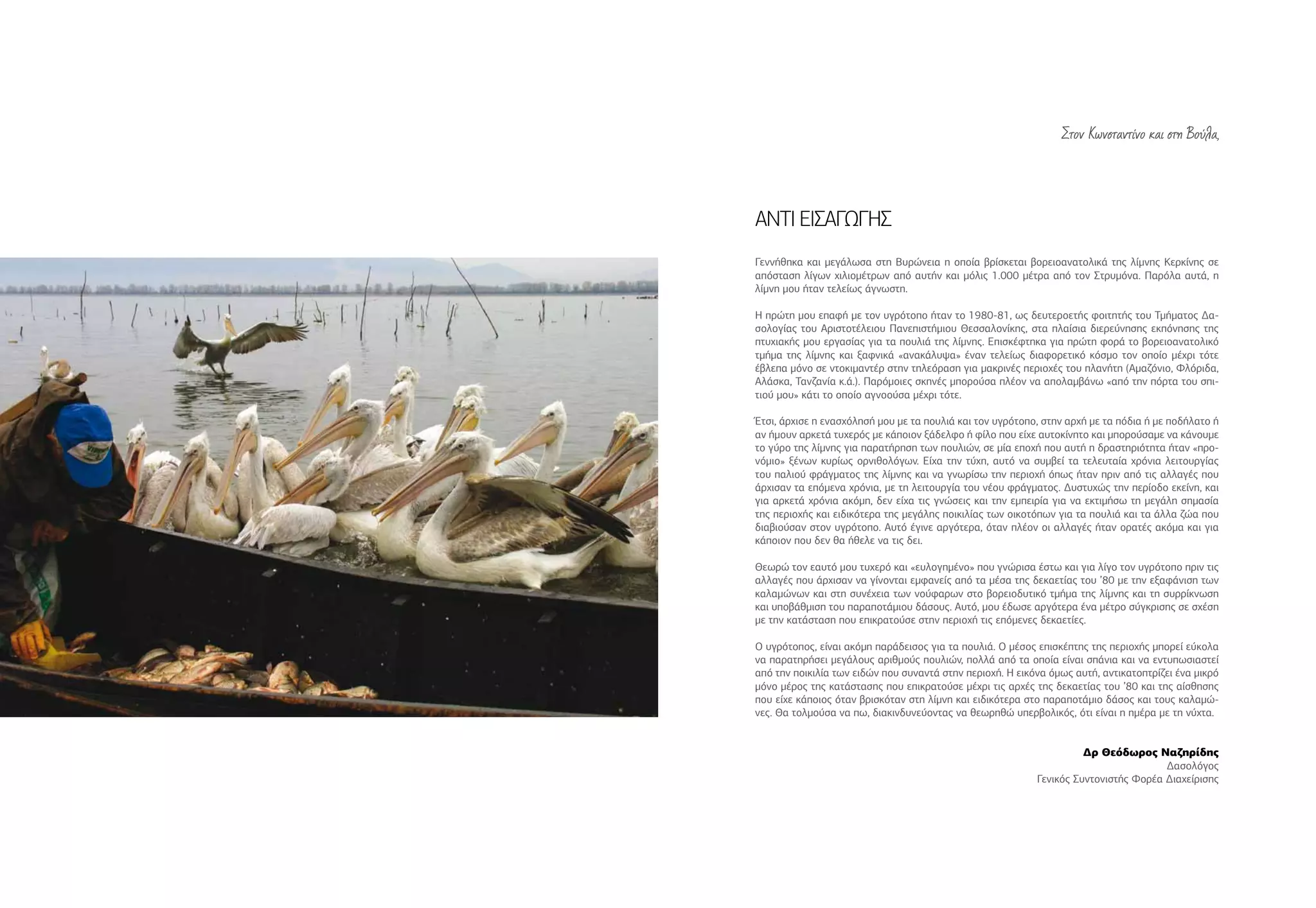 Στον Κωνσταντίνο και στη Βούλα,
ΑΝΤΙ ΕΙΣΑΓΩΓΗΣ
Γεννήθηκα και μεγάλωσα στη Βυρώνεια η οποία βρίσκεται βορειοανατολικά της λίμνης Κερκίνης σε
απόσταση λίγων χιλιομέτρων από αυτήν και μόλις 1.000 μέτρα από τον Στρυμόνα. Παρόλα αυτά, η
λίμνη μου ήταν τελείως άγνωστη.
Η πρώτη μου επαφή με τον υγρότοπο ήταν το 1980-81, ως δευτεροετής φοιτητής του Τμήματος Δα-
σολογίας του Αριστοτέλειου Πανεπιστήμιου Θεσσαλονίκης, στα πλαίσια διερεύνησης εκπόνησης της
πτυχιακής μου εργασίας για τα πουλιά της λίμνης. Επισκέφτηκα για πρώτη φορά το βορειοανατολικό
τμήμα της λίμνης και ξαφνικά «ανακάλυψα» έναν τελείως διαφορετικό κόσμο τον οποίο μέχρι τότε
έβλεπα μόνο σε ντοκιμαντέρ στην τηλεόραση για μακρινές περιοχές του πλανήτη (Αμαζόνιο, Φλόριδα,
Αλάσκα, Τανζανία κ.ά.). Παρόμοιες σκηνές μπορούσα πλέον να απολαμβάνω «από την πόρτα του σπι-
τιού μου» κάτι το οποίο αγνοούσα μέχρι τότε.
Έτσι, άρχισε η ενασχόλησή μου με τα πουλιά και τον υγρότοπο, στην αρχή με τα πόδια ή με ποδήλατο ή
αν ήμουν αρκετά τυχερός με κάποιον ξάδελφο ή φίλο που είχε αυτοκίνητο και μπορούσαμε να κάνουμε
το γύρο της λίμνης για παρατήρηση των πουλιών, σε μία εποχή που αυτή η δραστηριότητα ήταν «προ-
νόμιο» ξένων κυρίως ορνιθολόγων. Είχα την τύχη, αυτό να συμβεί τα τελευταία χρόνια λειτουργίας
του παλιού φράγματος της λίμνης και να γνωρίσω την περιοχή όπως ήταν πριν από τις αλλαγές που
άρχισαν τα επόμενα χρόνια, με τη λειτουργία του νέου φράγματος. Δυστυχώς την περίοδο εκείνη, και
για αρκετά χρόνια ακόμη, δεν είχα τις γνώσεις και την εμπειρία για να εκτιμήσω τη μεγάλη σημασία
της περιοχής και ειδικότερα της μεγάλης ποικιλίας των οικοτόπων για τα πουλιά και τα άλλα ζώα που
διαβιούσαν στον υγρότοπο. Αυτό έγινε αργότερα, όταν πλέον οι αλλαγές ήταν ορατές ακόμα και για
κάποιον που δεν θα ήθελε να τις δει.
Θεωρώ τον εαυτό μου τυχερό και «ευλογημένο» που γνώρισα έστω και για λίγο τον υγρότοπο πριν τις
αλλαγές που άρχισαν να γίνονται εμφανείς από τα μέσα της δεκαετίας του ’80 με την εξαφάνιση των
καλαμώνων και στη συνέχεια των νούφαρων στο βορειοδυτικό τμήμα της λίμνης και τη συρρίκνωση
και υποβάθμιση του παραποτάμιου δάσους. Αυτό, μου έδωσε αργότερα ένα μέτρο σύγκρισης σε σχέση
με την κατάσταση που επικρατούσε στην περιοχή τις επόμενες δεκαετίες.
Ο υγρότοπος, είναι ακόμη παράδεισος για τα πουλιά. Ο μέσος επισκέπτης της περιοχής μπορεί εύκολα
να παρατηρήσει μεγάλους αριθμούς πουλιών, πολλά από τα οποία είναι σπάνια και να εντυπωσιαστεί
από την ποικιλία των ειδών που συναντά στην περιοχή. Η εικόνα όμως αυτή, αντικατοπτρίζει ένα μικρό
μόνο μέρος της κατάστασης που επικρατούσε μέχρι τις αρχές της δεκαετίας του ’80 και της αίσθησης
που είχε κάποιος όταν βρισκόταν στη λίμνη και ειδικότερα στο παραποτάμιο δάσος και τους καλαμώ-
νες. Θα τολμούσα να πω, διακινδυνεύοντας να θεωρηθώ υπερβολικός, ότι είναι η ημέρα με τη νύχτα.
Δρ Θεόδωρος Ναζηρίδης
Δασολόγος
Γενικός Συντονιστής Φορέα Διαχείρισης
 