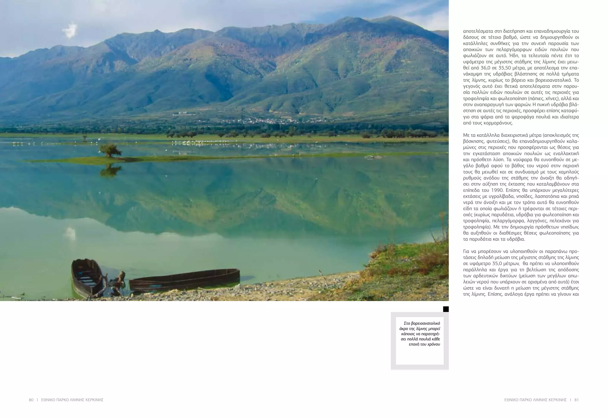 80 I ΕΘΝΙΚΟ ΠΑΡΚΟ ΛΙΜΝΗΣ ΚΕΡΚΙΝΗΣ ΕΘΝΙΚΟ ΠΑΡΚΟ ΛΙΜΝΗΣ ΚΕΡΚΙΝΗΣ I 81
αποτελέσματα στη διατήρηση και επαναδημιουργία του
δάσους σε τέτοιο βαθμό, ώστε να δημιουργηθούν οι
κατάλληλες συνθήκες για την συνεχή παρουσία των
αποικιών των πελαργόμορφων ειδών πουλιών που
φωλιάζουν σε αυτό. Ήδη, τα τελευταία πέντε έτη το
υψόμετρο της μέγιστης στάθμης της λίμνης έχει μειω-
θεί από 36,0 σε 35,50 μέτρα, με αποτέλεσμα την επα-
νάκαμψη της υδρόβιας βλάστησης σε πολλά τμήματα
της λίμνης, κυρίως το βόρειο και βορειοανατολικό. Το
γεγονός αυτό έχει θετικά αποτελέσματα στην παρου-
σία πολλών ειδών πουλιών σε αυτές τις περιοχές για
τροφοληψία και φωλεοποίηση (πάπιες, χήνες), αλλά και
στην αναπαραγωγή των ψαριών. Η πυκνή υδρόβια βλά-
στηση σε αυτές τις περιοχές, προσφέρει επίσης καταφύ-
γιο στα ψάρια από τα ψαροφάγα πουλιά και ιδιαίτερα
από τους κορμοράνους.
Με τα κατάλληλα διαχειριστικά μέτρα (αποκλεισμός της
βόσκησης, φυτεύσεις), θα επαναδημιουργηθούν καλα-
μώνες στις περιοχές που προσφέρονται ως θέσεις για
την εγκατάσταση αποικιών πουλιών ως εναλλακτική
και πρόσθετη λύση. Τα νούφαρα θα ευνοηθούν σε με-
γάλο βαθμό αφού το βάθος του νερού στην περιοχή
τους θα μειωθεί και σε συνδυασμό με τους χαμηλούς
ρυθμούς ανόδου της στάθμης την άνοιξη θα οδηγή-
σει στην αύξηση της έκτασης που καταλαμβάνουν στα
επίπεδα του 1990. Επίσης θα υπάρχουν μεγαλύτερες
εκτάσεις με υγρολίβαδα, νησίδες, λασποτόπια και ρηχά
νερά την άνοιξη και με τον τρόπο αυτό θα ευνοηθούν
είδη τα οποία φωλιάζουν ή τρέφονται σε τέτοιες περι-
οχές (κυρίως παρυδάτια, υδρόβια για φωλεοποίηση και
τροφοληψία, πελαργόμορφα, λαγγόνες, πελεκάνοι για
τροφοληψία). Με την δημιουργία πρόσθετων νησίδων,
θα αυξηθούν οι διαθέσιμες θέσεις φωλεοποίησης για
τα παρυδάτια και τα υδρόβια.
Για να μπορέσουν να υλοποιηθούν οι παραπάνω προ-
τάσεις δηλαδή μείωση της μέγιστης στάθμης της λίμνης
σε υψόμετρο 35,0 μέτρων, θα πρέπει να υλοποιηθούν
παράλληλα και έργα για τη βελτίωση της απόδοσης
των αρδευτικών δικτύων (μείωση των μεγάλων απω-
λειών νερού που υπάρχουν σε ορισμένα από αυτά) έτσι
ώστε να είναι δυνατή η μείωση της μέγιστης στάθμης
της λίμνης. Επίσης, ανάλογα έργα πρέπει να γίνουν και
Στο βορειοανατολικό
άκρο της λίμνης μπορεί
κάποιος να παρατηρή-
σει πολλά πουλιά κάθε
εποχή του χρόνου
 