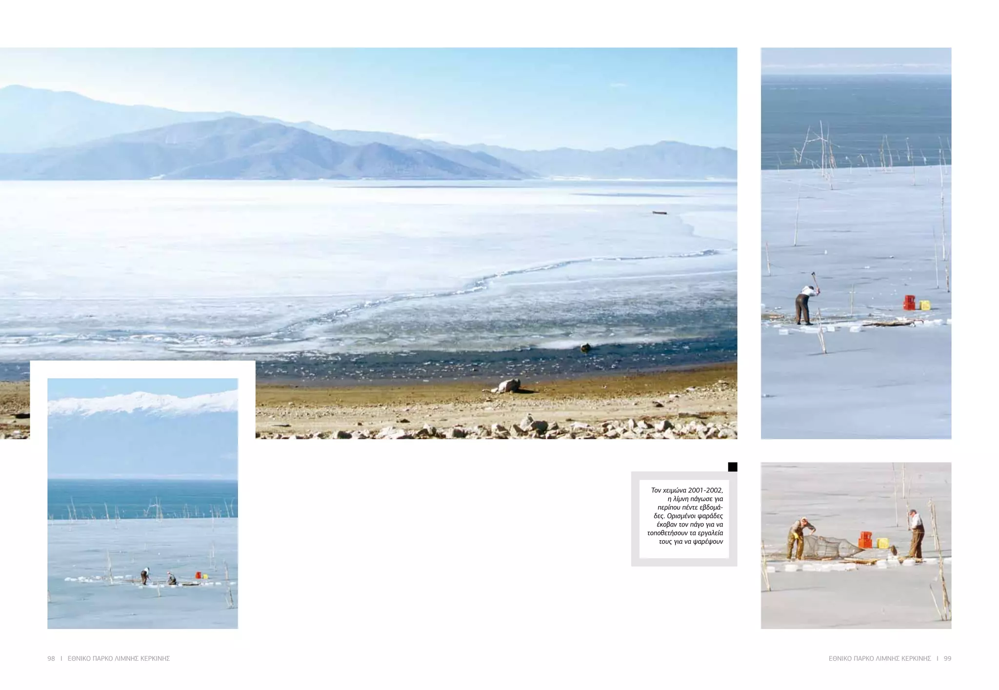 98 I ΕΘΝΙΚΟ ΠΑΡΚΟ ΛΙΜΝΗΣ ΚΕΡΚΙΝΗΣ ΕΘΝΙΚΟ ΠΑΡΚΟ ΛΙΜΝΗΣ ΚΕΡΚΙΝΗΣ I 99
Τον χειμώνα 2001-2002,
η λίμνη πάγωσε για
περίπου πέντε εβδομά-
δες. Ορισμένοι ψαράδες
έκοβαν τον πάγο για να
τοποθετήσουν τα εργαλεία
τους για να ψαρέψουν
 