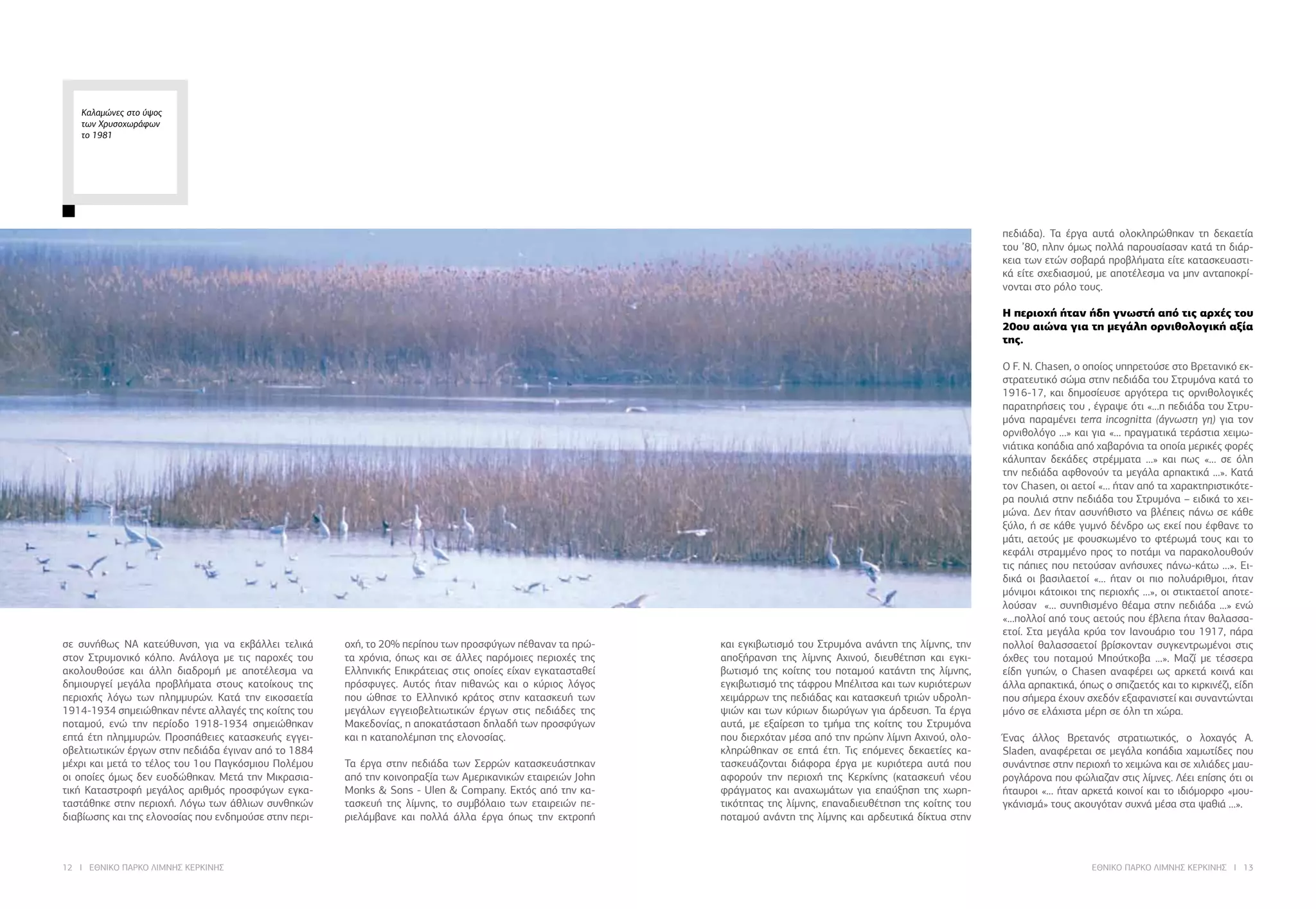12 I ΕΘΝΙΚΟ ΠΑΡΚΟ ΛΙΜΝΗΣ ΚΕΡΚΙΝΗΣ ΕΘΝΙΚΟ ΠΑΡΚΟ ΛΙΜΝΗΣ ΚΕΡΚΙΝΗΣ I 13
Καλαμώνες στο ύψος
των Χρυσοχωράφων
το 1981
σε συνήθως ΝΑ κατεύθυνση, για να εκβάλλει τελικά
στον Στρυμονικό κόλπο. Ανάλογα με τις παροχές του
ακολουθούσε και άλλη διαδρομή με αποτέλεσμα να
δημιουργεί μεγάλα προβλήματα στους κατοίκους της
περιοχής λόγω των πλημμυρών. Κατά την εικοσαετία
1914-1934 σημειώθηκαν πέντε αλλαγές της κοίτης του
ποταμού, ενώ την περίοδο 1918-1934 σημειώθηκαν
επτά έτη πλημμυρών. Προσπάθειες κατασκευής εγγει-
οβελτιωτικών έργων στην πεδιάδα έγιναν από το 1884
μέχρι και μετά το τέλος του 1ου Παγκόσμιου Πολέμου
οι οποίες όμως δεν ευοδώθηκαν. Μετά την Μικρασια-
τική Καταστροφή μεγάλος αριθμός προσφύγων εγκα-
ταστάθηκε στην περιοχή. Λόγω των άθλιων συνθηκών
διαβίωσης και της ελονοσίας που ενδημούσε στην περι-
οχή, το 20% περίπου των προσφύγων πέθαναν τα πρώ-
τα χρόνια, όπως και σε άλλες παρόμοιες περιοχές της
Ελληνικής Επικράτειας στις οποίες είχαν εγκατασταθεί
πρόσφυγες. Αυτός ήταν πιθανώς και ο κύριος λόγος
που ώθησε το Ελληνικό κράτος στην κατασκευή των
μεγάλων εγγειοβελτιωτικών έργων στις πεδιάδες της
Μακεδονίας, η αποκατάσταση δηλαδή των προσφύγων
και η καταπολέμηση της ελονοσίας.
Τα έργα στην πεδιάδα των Σερρών κατασκευάστηκαν
από την κοινοπραξία των Αμερικανικών εταιρειών John
Monks & Sons - Ulen & Company. Εκτός από την κα-
τασκευή της λίμνης, το συμβόλαιο των εταιρειών πε-
ριελάμβανε και πολλά άλλα έργα όπως την εκτροπή
και εγκιβωτισμό του Στρυμόνα ανάντη της λίμνης, την
αποξήρανση της λίμνης Αχινού, διευθέτηση και εγκι-
βωτισμό της κοίτης του ποταμού κατάντη της λίμνης,
εγκιβωτισμό της τάφρου Μπέλιτσα και των κυριότερων
χειμάρρων της πεδιάδας και κατασκευή τριών υδρολη-
ψιών και των κύριων διωρύγων για άρδευση. Τα έργα
αυτά, με εξαίρεση το τμήμα της κοίτης του Στρυμόνα
που διερχόταν μέσα από την πρώην λίμνη Αχινού, ολο-
κληρώθηκαν σε επτά έτη. Τις επόμενες δεκαετίες κα-
τασκευάζονται διάφορα έργα με κυριότερα αυτά που
αφορούν την περιοχή της Κερκίνης (κατασκευή νέου
φράγματος και αναχωμάτων για επαύξηση της χωρη-
τικότητας της λίμνης, επαναδιευθέτηση της κοίτης του
ποταμού ανάντη της λίμνης και αρδευτικά δίκτυα στην
πεδιάδα). Τα έργα αυτά ολοκληρώθηκαν τη δεκαετία
του ’80, πλην όμως πολλά παρουσίασαν κατά τη διάρ-
κεια των ετών σοβαρά προβλήματα είτε κατασκευαστι-
κά είτε σχεδιασμού, με αποτέλεσμα να μην ανταποκρί-
νονται στο ρόλο τους.
Η περιοχή ήταν ήδη γνωστή από τις αρχές του
20ου αιώνα για τη μεγάλη ορνιθολογική αξία
της.
Ο F. N. Chasen, ο οποίος υπηρετούσε στο Βρετανικό εκ-
στρατευτικό σώμα στην πεδιάδα του Στρυμόνα κατά το
1916-17, και δημοσίευσε αργότερα τις ορνιθολογικές
παρατηρήσεις του , έγραψε ότι «…η πεδιάδα του Στρυ-
μόνα παραμένει terra incognitta (άγνωστη γη) για τον
ορνιθολόγο …» και για «… πραγματικά τεράστια χειμω-
νιάτικα κοπάδια από χαβαρόνια τα οποία μερικές φορές
κάλυπταν δεκάδες στρέμματα …» και πως «… σε όλη
την πεδιάδα αφθονούν τα μεγάλα αρπακτικά …». Κατά
τον Chasen, οι αετοί «… ήταν από τα χαρακτηριστικότε-
ρα πουλιά στην πεδιάδα του Στρυμόνα – ειδικά το χει-
μώνα. Δεν ήταν ασυνήθιστο να βλέπεις πάνω σε κάθε
ξύλο, ή σε κάθε γυμνό δένδρο ως εκεί που έφθανε το
μάτι, αετούς με φουσκωμένο το φτέρωμά τους και το
κεφάλι στραμμένο προς το ποτάμι να παρακολουθούν
τις πάπιες που πετούσαν ανήσυχες πάνω-κάτω …». Ει-
δικά οι βασιλαετοί «… ήταν οι πιο πολυάριθμοι, ήταν
μόνιμοι κάτοικοι της περιοχής …», οι στικταετοί αποτε-
λούσαν «… συνηθισμένο θέαμα στην πεδιάδα …» ενώ
«…πολλοί από τους αετούς που έβλεπα ήταν θαλασσα-
ετοί. Στα μεγάλα κρύα τον Ιανουάριο του 1917, πάρα
πολλοί θαλασσαετοί βρίσκονταν συγκεντρωμένοι στις
όχθες του ποταμού Μπούτκοβα …». Μαζί με τέσσερα
είδη γυπών, ο Chasen αναφέρει ως αρκετά κοινά και
άλλα αρπακτικά, όπως ο σπιζαετός και το κιρκινέζι, είδη
που σήμερα έχουν σχεδόν εξαφανιστεί και συναντώνται
μόνο σε ελάχιστα μέρη σε όλη τη χώρα.
Ένας άλλος Βρετανός στρατιωτικός, ο λοχαγός A.
Sladen, αναφέρεται σε μεγάλα κοπάδια χαμωτίδες που
συνάντησε στην περιοχή το χειμώνα και σε χιλιάδες μαυ-
ρογλάρονα που φώλιαζαν στις λίμνες. Λέει επίσης ότι οι
ήταυροι «… ήταν αρκετά κοινοί και το ιδιόμορφο «μου-
γκάνισμά» τους ακουγόταν συχνά μέσα στα ψαθιά …».
 