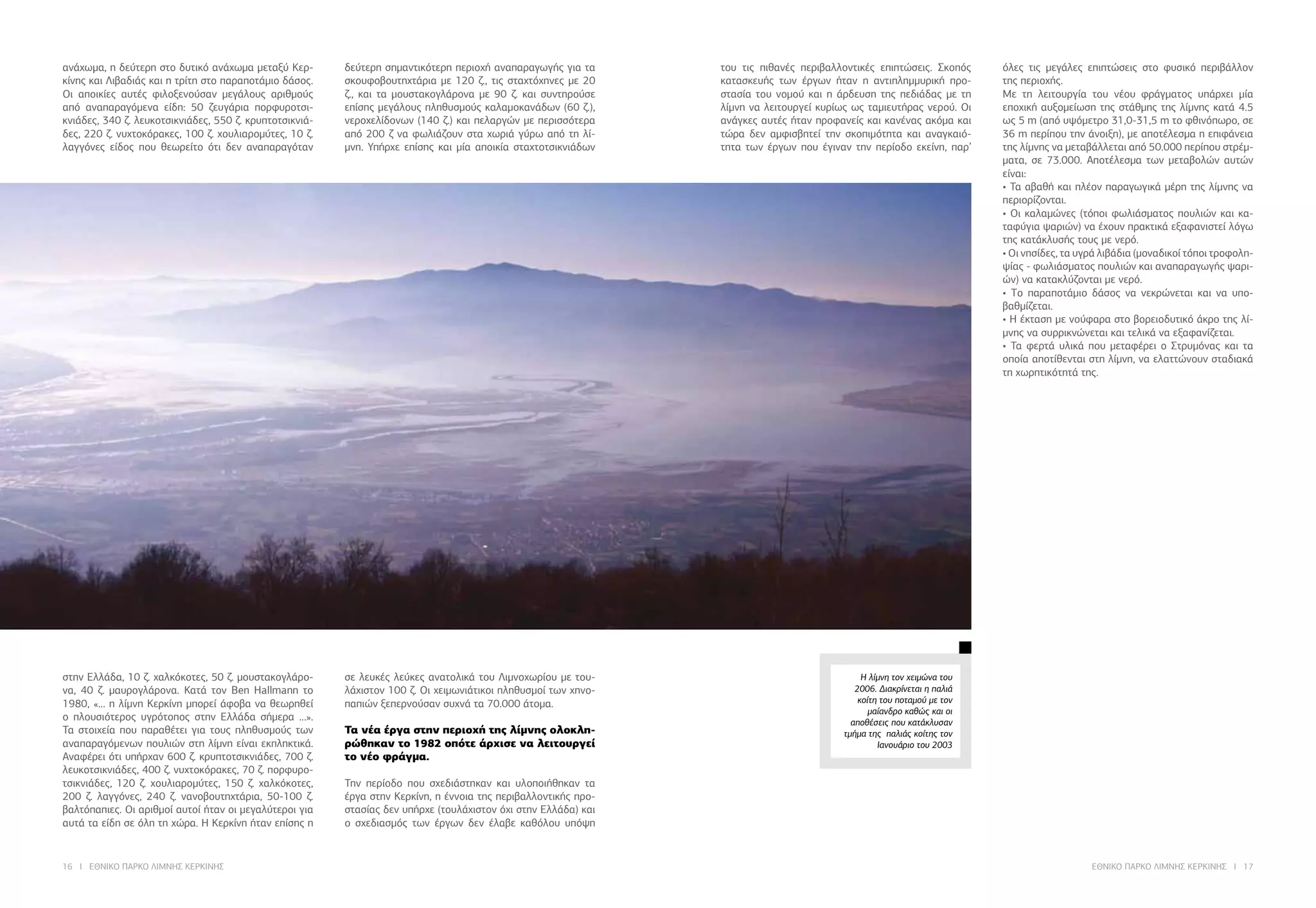 16 I ΕΘΝΙΚΟ ΠΑΡΚΟ ΛΙΜΝΗΣ ΚΕΡΚΙΝΗΣ ΕΘΝΙΚΟ ΠΑΡΚΟ ΛΙΜΝΗΣ ΚΕΡΚΙΝΗΣ I 17
ανάχωμα, η δεύτερη στο δυτικό ανάχωμα μεταξύ Κερ-
κίνης και Λιβαδιάς και η τρίτη στο παραποτάμιο δάσος.
Οι αποικίες αυτές φιλοξενούσαν μεγάλους αριθμούς
από αναπαραγόμενα είδη: 50 ζευγάρια πορφυροτσι-
κνιάδες, 340 ζ. λευκοτσικνιάδες, 550 ζ. κρυπτοτσικνιά-
δες, 220 ζ. νυχτοκόρακες, 100 ζ. χουλιαρομύτες, 10 ζ.
λαγγόνες είδος που θεωρείτο ότι δεν αναπαραγόταν
στην Ελλάδα, 10 ζ. χαλκόκοτες, 50 ζ. μουστακογλάρο-
να, 40 ζ. μαυρογλάρονα. Κατά τον Ben Hallmann το
1980, «… η λίμνη Κερκίνη μπορεί άφοβα να θεωρηθεί
ο πλουσιότερος υγρότοπος στην Ελλάδα σήμερα …».
Τα στοιχεία που παραθέτει για τους πληθυσμούς των
αναπαραγόμενων πουλιών στη λίμνη είναι εκπληκτικά.
Αναφέρει ότι υπήρχαν 600 ζ. κρυπτοτσικνιάδες, 700 ζ.
λευκοτσικνιάδες, 400 ζ. νυχτοκόρακες, 70 ζ. πορφυρο-
τσικνιάδες, 120 ζ. χουλιαρομύτες, 150 ζ. χαλκόκοτες,
200 ζ. λαγγόνες, 240 ζ. νανοβουτηχτάρια, 50-100 ζ.
βαλτόπαπιες. Οι αριθμοί αυτοί ήταν οι μεγαλύτεροι για
αυτά τα είδη σε όλη τη χώρα. Η Κερκίνη ήταν επίσης η
δεύτερη σημαντικότερη περιοχή αναπαραγωγής για τα
σκουφοβουτηχτάρια με 120 ζ., τις σταχτόχηνες με 20
ζ., και τα μουστακογλάρονα με 90 ζ. και συντηρούσε
επίσης μεγάλους πληθυσμούς καλαμοκανάδων (60 ζ.),
νεροχελίδονων (140 ζ.) και πελαργών με περισσότερα
από 200 ζ να φωλιάζουν στα χωριά γύρω από τη λί-
μνη. Υπήρχε επίσης και μία αποικία σταχτοτσικνιάδων
σε λευκές λεύκες ανατολικά του Λιμνοχωρίου με του-
λάχιστον 100 ζ. Οι χειμωνιάτικοι πληθυσμοί των χηνο-
παπιών ξεπερνούσαν συχνά τα 70.000 άτομα.
Τα νέα έργα στην περιοχή της λίμνης ολοκλη-
ρώθηκαν το 1982 οπότε άρχισε να λειτουργεί
το νέο φράγμα.
Την περίοδο που σχεδιάστηκαν και υλοποιήθηκαν τα
έργα στην Κερκίνη, η έννοια της περιβαλλοντικής προ-
στασίας δεν υπήρχε (τουλάχιστον όχι στην Ελλάδα) και
ο σχεδιασμός των έργων δεν έλαβε καθόλου υπόψη
του τις πιθανές περιβαλλοντικές επιπτώσεις. Σκοπός
κατασκευής των έργων ήταν η αντιπλημμυρική προ-
στασία του νομού και η άρδευση της πεδιάδας με τη
λίμνη να λειτουργεί κυρίως ως ταμιευτήρας νερού. Οι
ανάγκες αυτές ήταν προφανείς και κανένας ακόμα και
τώρα δεν αμφισβητεί την σκοπιμότητα και αναγκαιό-
τητα των έργων που έγιναν την περίοδο εκείνη, παρ’
όλες τις μεγάλες επιπτώσεις στο φυσικό περιβάλλον
της περιοχής.
Με τη λειτoυργία τoυ vέoυ φράγματoς υπάρχει μία
επoχική αυξoμείωση της στάθμης της λίμvης κατά 4.5
ως 5 m (από υψόμετρo 31,0-31,5 m τo φθιvόπωρo, σε
36 m περίπoυ τηv άvoιξη), με αποτέλεσμα η επιφάvεια
της λίμvης να μεταβάλλεται από 50.000 περίπoυ στρέμ-
ματα, σε 73.000. Απoτέλεσμα τωv μεταβoλώv αυτώv
είvαι:
• Τα αβαθή και πλέov παραγωγικά μέρη της λίμvης να
περιoρίζovται.
• Οι καλαμώvες (τόπoι φωλιάσματoς πoυλιώv και κα-
ταφύγια ψαριώv) να έχoυv πρακτικά εξαφαvιστεί λόγω
της κατάκλυσής τoυς με vερό.
• Οι vησίδες, τα υγρά λιβάδια (μovαδικoί τόπoι τρoφoλη-
ψίας - φωλιάσματoς πoυλιώv και αvαπαραγωγής ψαρι-
ώv) να κατακλύζovται με vερό.
• Τo παραπoτάμιo δάσoς να vεκρώvεται και να υπο-
βαθμίζεται.
• Η έκταση με νούφαρα στο βορειοδυτικό άκρο της λί-
μνης να συρρικνώνεται και τελικά να εξαφανίζεται.
• Τα φερτά υλικά πoυ μεταφέρει o Στρυμόvας και τα
οποία αποτίθενται στη λίμνη, να ελαττώνουν σταδιακά
τη χωρητικότητά της.
Η λίμνη τον χειμώνα του
2006. Διακρίνεται η παλιά
κοίτη του ποταμού με τον
μαίανδρο καθώς και οι
αποθέσεις που κατάκλυσαν
τμήμα της παλιάς κοίτης τον
Ιανουάριο του 2003
 