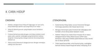 4. CARA HIDUP
CNIDARIA
 Habitat: sebagian besar hidup di lingkungan air laut serta
hanya beberapa spesies saja yang hidup di air tawar
 Hidup di daerah perairan yang dangkal secara berkoloni
(soliter).
 Cnidaria berbentuk polip dengan cara hidup melekal (sesil)
pada suatu substrat, sedangkan yang berbentuk medusa
bergerak melayang atau dengan kata lain berenang bebas
didalam air.
 Hidup secara heterotrof sebagai karnivor dengan memakan
udang serta ikan kecil.
CTENOPHORA
 Coelenterata hidup bebas secara heterotrof dengan
memangsa plankton dan hewan kecil di air.
 Mangsa menempel pada knodosit dan ditangkap oleh
tentakel untuk dimasukkan kedalam mulut.
 Habitat: hidup di air, baik di laut maupun di air tawar.
Sebagaian besar hidup dilaut secara soliter atau
berkoloni. Ada yang melekat pada bebatuan atau benda
lain di dasar perairan
 Tidak dapat berpindah untuk bentuk polip, sedangkan
bentuk medusa dapat bergerak bebas melayang di air.
 