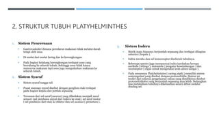 2. STRUKTUR TUBUH PLATYHELMINTHES
1. Sistem Pencernaan
 Gastrovaskuler dimana peredaran makanan tidak melalui darah
tetapi oleh usus.
 Di mulai dari mulut faring dan ke kerongkongan.
 Pada bagian belakang kerongkongan terdapat usus yang
bercabang ke seluruh tubuh. Sehingga usus tidak hanya
mencerna makanan tapi usus juga mengedarkan makanan ke
seluruh tubuh.
2. Sistem Syaraf
 Sistem syaraf tangga tali
 Pusat susunan syaraf disebut dengan ganglion otak terdapat
pada bagian kepala dan jumlah sepasang
 Tersusun dari sel saraf (neuron) yang dibedakan menjadi saraf
sensori (sel pembawa sinyal dari indera ke otak), sel saraf motor
( sel pembawa dari otak ke efektor dan sel asosiasi ( perantara ).
3. Sistem Indera
 Bintik mata biasanya berjumlah sepasang dan terdapat dibagian
anterior ( kepala ).
 Indra meraba dan sel kemoresptor diseluruh tubuhnya.
 Beberapa spesies juga mempunyai indra tambahan berupa
aurikula ( telinga ), statosista ( pengatur keseimbangan ) dan
reoreseptor ( organ untuk mengetahui arah aliran sungai ).
 Pada umumnya Platyhelmintes ( cacing pipih ) memiliki sistem
osmoregulasi yang disebut dengan protonefridia. Sistem ini
terdiri dari saluran pengeluaran cairan yang dimilikinya disebut
protonefridiofor yang berjumlah sepasang atau lebih. Sedangkan
sisa metabolism tubuhnya dikeluarkan secara difusi melalui
dinding sel.
 