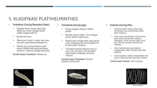 5. KLASIFIKASI PLATYHELMINTHES
 Turbellaria (Cacing Berambut Getar)
 Sebagian besar cacing yang hidup
bebas atau bukan sebagai parasit
adalah anggota kelas ini.
 Bersifat karnivora
 Ditemukan di kolam, sungai, atau daun
dan batu yang terkena genangan air.
 Disebut juga cacing berambut getar
karena memiliki silia pada permukaan
tubuhnya, fungsinya sebagai alat gerak.
Contoh hewan Turbellaria: Planaria sp.
 Trematoda (Cacing Isap)
 Semua anggota cacing ini adalah
parasit.
 Memiliki ukuran sekitar 1-6 cm dengan
bentuk silinder seperti daun.
 Mereka akan menggunakan alat isapnya
untuk menghisap dan menempelkan diri
ke permukaan inangnya.
 Trematoda dewasa biasanya hidup di
usus, hati, paru-paru, dan pembuluh
darah hewan vertebrata, termasuk
manusia.
Contoh hewan Trematoda: Fasciola
hepatica (cacing hati).
 Cestoda (Cacing Pita)
 Termasuk dalam cacing parasit yang
memerlukan dua inang berbeda dalam
siklus hidupnya.
 Untuk cacing pita dewasa, mereka hidup
pada saluran pencernaan inangnya.
Sedangkan, untuk larvanya hidup di otot,
hati, otak atau jaringan di bawah kulit
inangnya.
 Untuk berkembang biang Cestoda
menggunakan sistem memiliki reproduksi
aseksual.
 Untuk bergerak, mereka mengandalkan silia
(cilium) yang menonjol pada tubuh mereka.
Contoh hewan Cestoda: Taenia saginata.
 